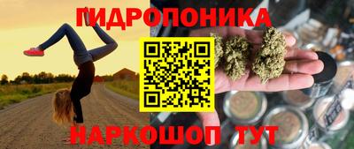 скорость Новозыбков