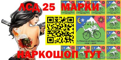 скорость Новозыбков
