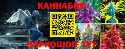 скорость Новозыбков