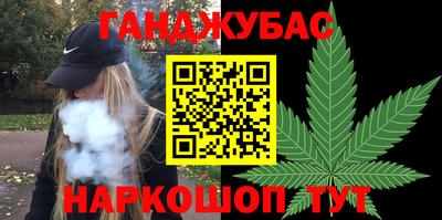 скорость Новозыбков